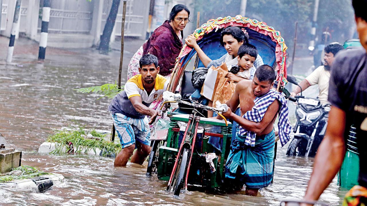waterlogging8.jpg