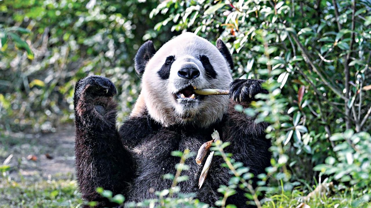china7.jpg