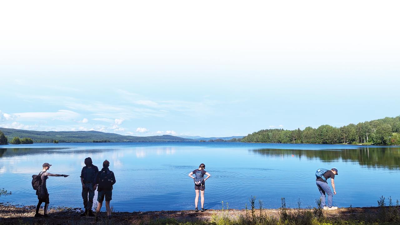 nordic-summer4.jpg