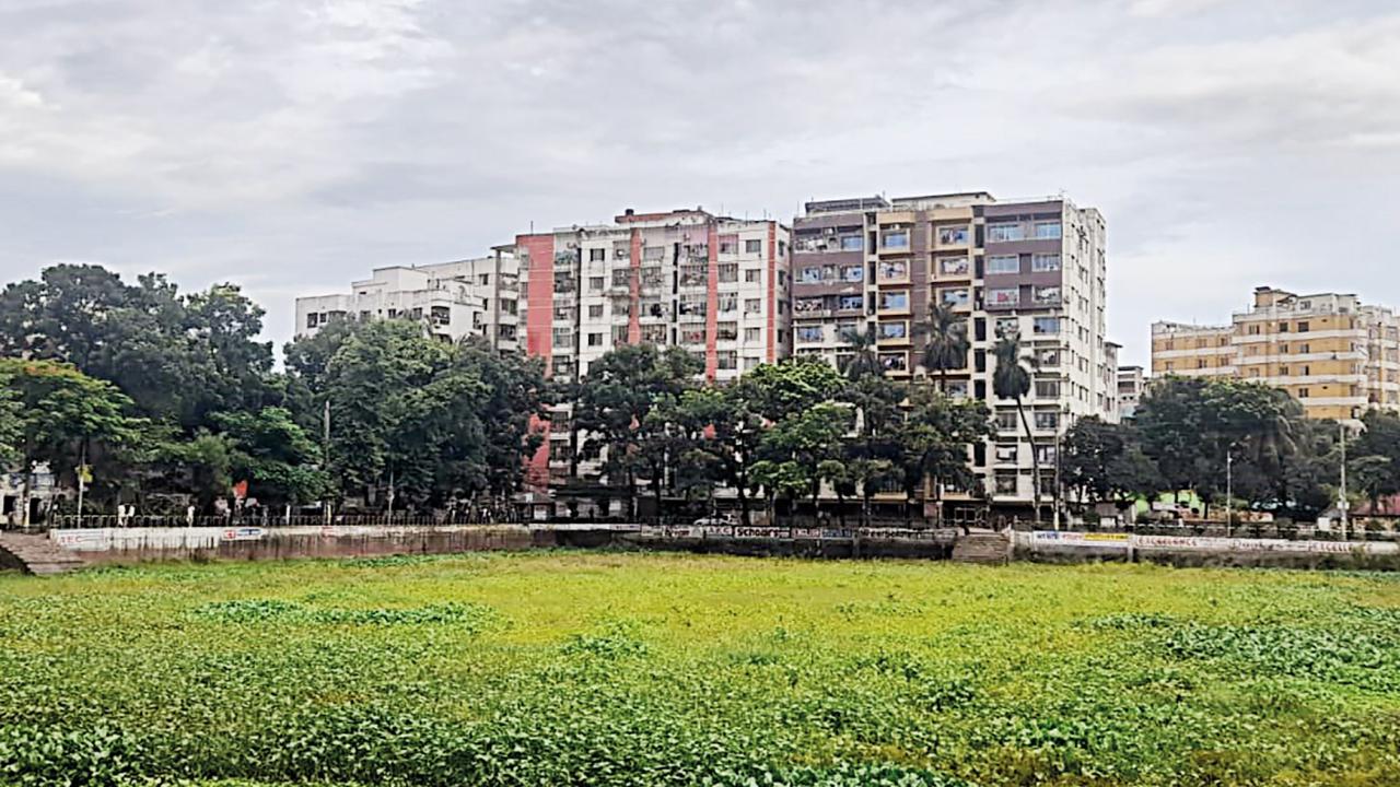 cumilla-rani-dighi-5_0.jpg