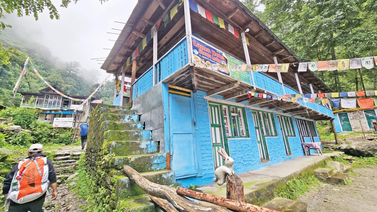 langtang-valley-trek-9.jpg