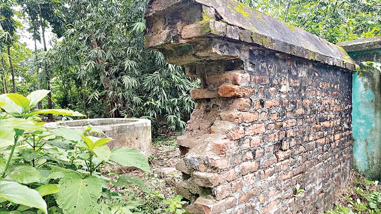 pabna3.jpg