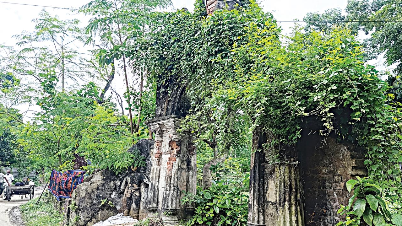 pabna6.jpg